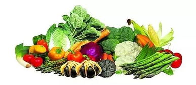 漳州市区主要市场农副产品零售价格行情概览