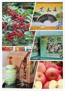 凤县旅游名片 青山绿水间的丰饶物产