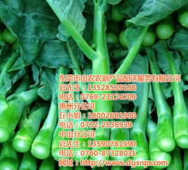 东莞膳食承包商服务与山农农副产品配送一体化解决方案及报价浅析