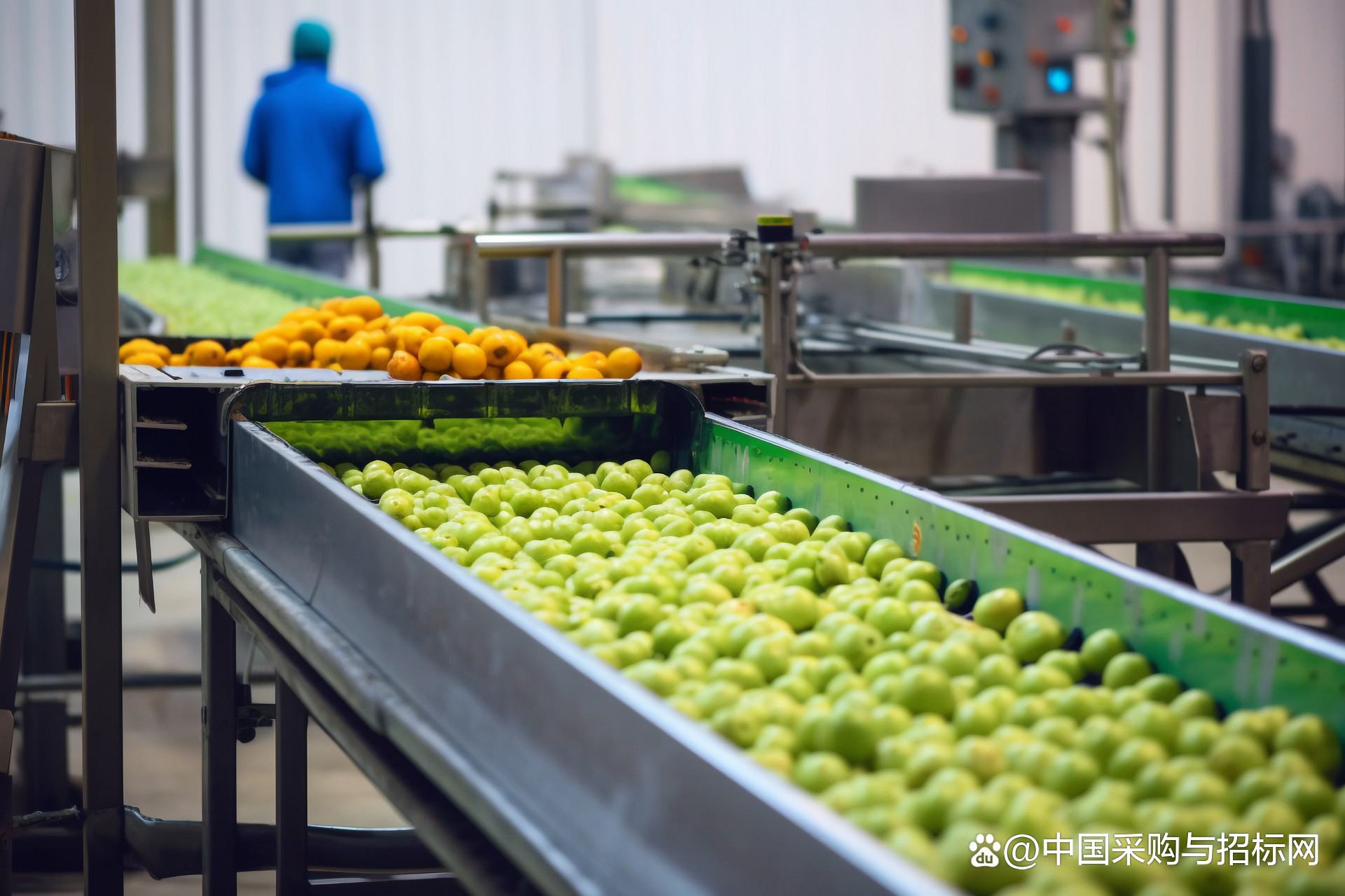 玉泉区绿色食品及农副产品加工产业园项目 打造现代农业新高地